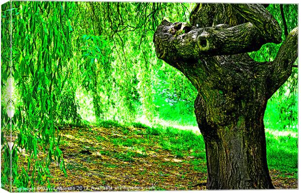 UNDER THE WILLOW Canvas Print by David Atkinson