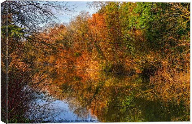 Autumn Reflections Canvas Print by David Atkinson