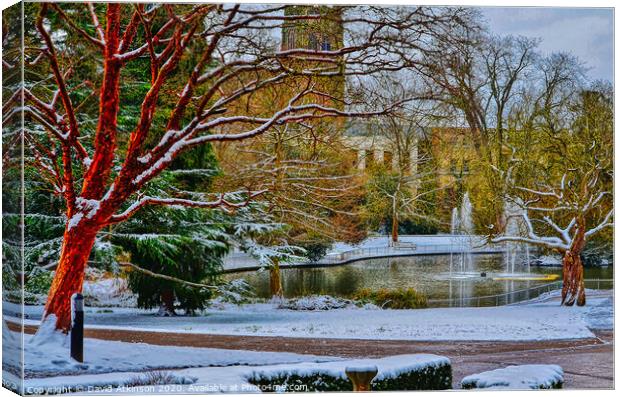 Winter in the park Canvas Print by David Atkinson