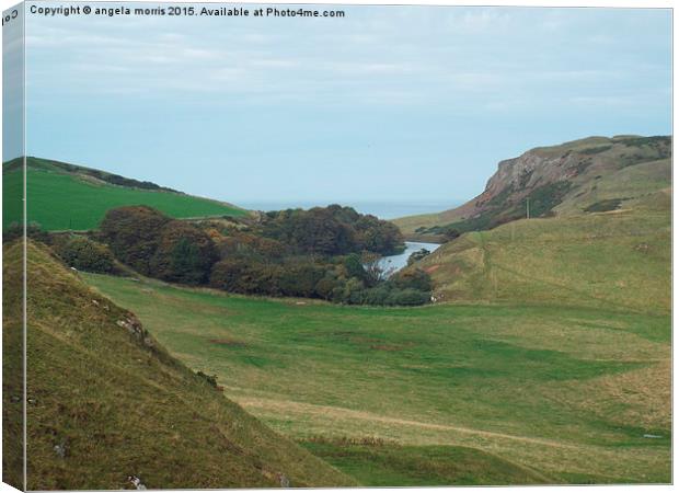  St Abbs Head Canvas Print by angela morris