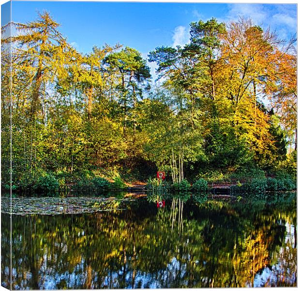 Autumn colours Canvas Print by Mark Bunning