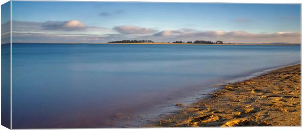 Solitude Canvas Print by Mark Bunning