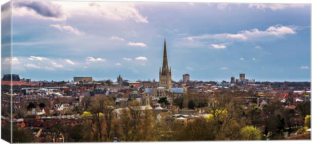 Norwich skyline Canvas Print by Mark Bunning