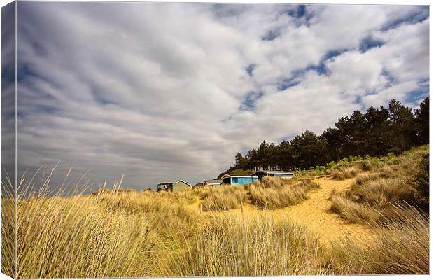 Hunstanton beach huts through the reeds Canvas Print by Mark Bunning