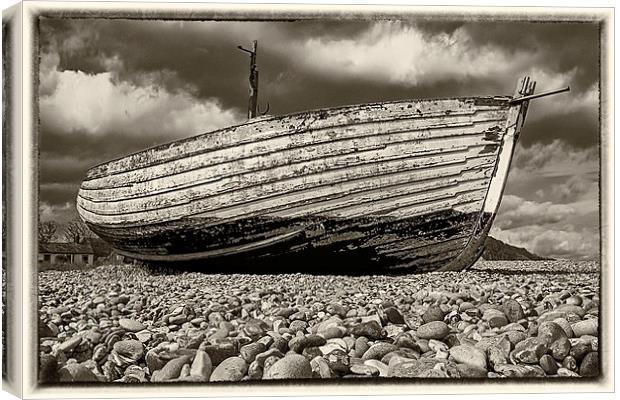 Left to rot Canvas Print by Mark Bunning