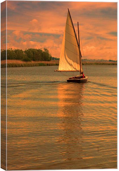 Last sail before bed Canvas Print by Mark Bunning