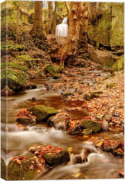 Falling through Lumsdale Canvas Print by Mark Bunning