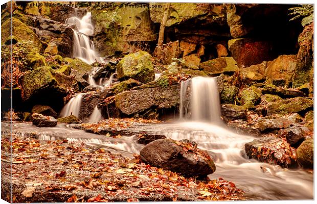 Lumsdale Falls 2 Canvas Print by Mark Bunning