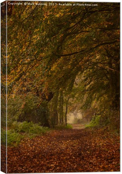 Autumn footpath Canvas Print by Mark Bunning