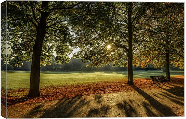 Sunrise in the Park Canvas Print by Vinicios de Moura