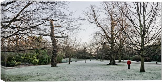 Frosty morning walk Canvas Print by Vinicios de Moura