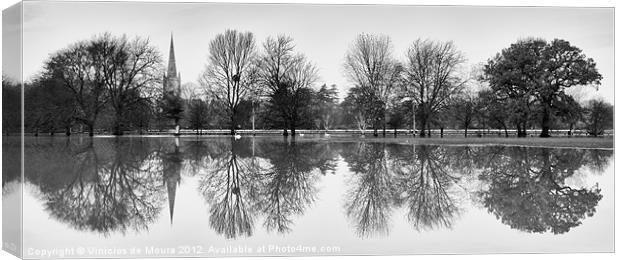 Reflections Canvas Print by Vinicios de Moura