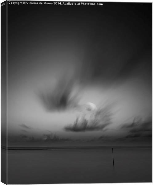 Alone III, Silence Study Canvas Print by Vinicios de Moura