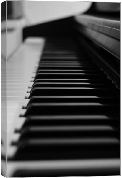 Piano Canvas Print by Frankie Arkell