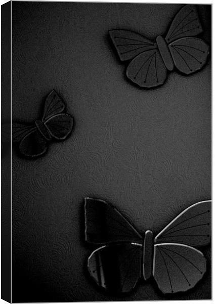 Butterfiles Canvas Print by Frankie Arkell