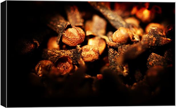 Cloves Canvas Print by Frankie Arkell