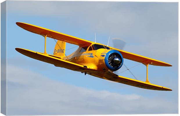 Beech Staggerwing Canvas Print by duncan speirs
