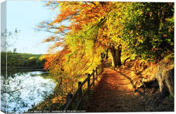  Swintsy Reservoir Path Canvas Print by Paul M Baxter