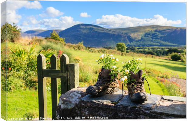Boots and flowers at Ennerdale in the Lake Distric Canvas Print by Hauke Steinberg
