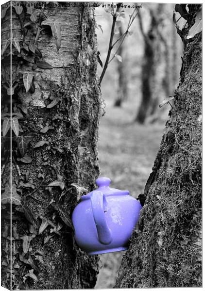 Purple Teapot Canvas Print by Jon Short