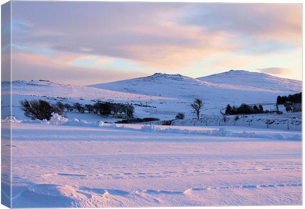 Dartmoor Snowy Sunset Canvas Print by Jon Short