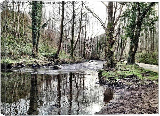 A walk along the river Canvas Print by paul ali