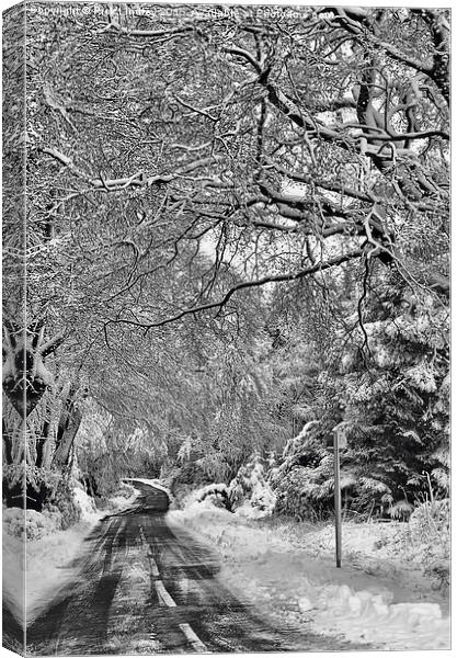 Winters Lane Canvas Print by Rick Lindley