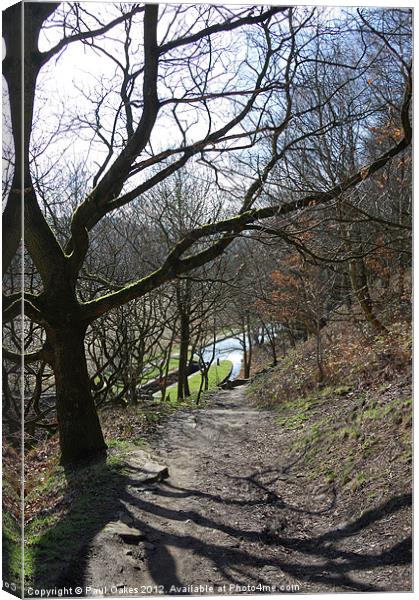 Woodland View - Huddersfield Narrow Canal Canvas Print by Paul Oakes