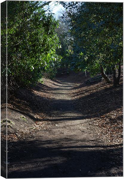 Woodland Path at Beaumont Park Canvas Print by Paul Oakes