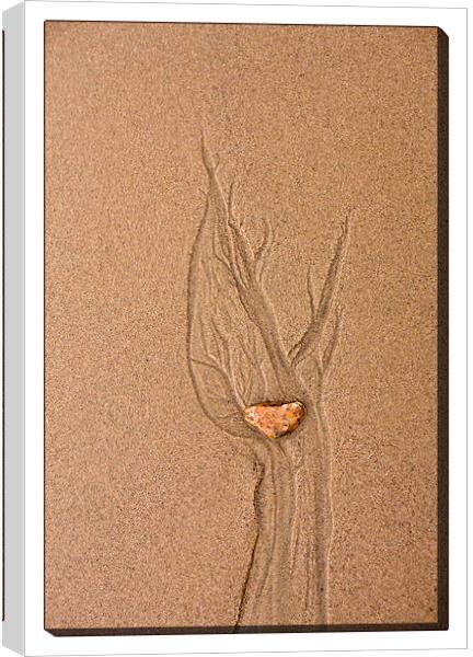 Sand Art Canvas Print by LIZ Alderdice