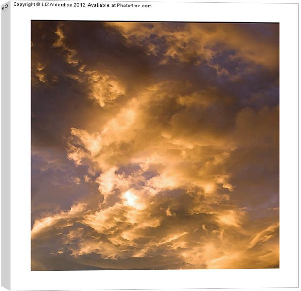 Golden Clouds Canvas Print by LIZ Alderdice