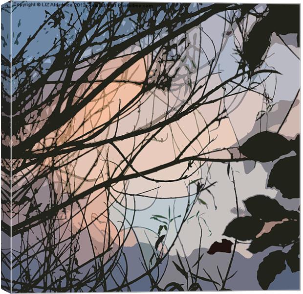 Sunset through the Willow (abstract) Canvas Print by LIZ Alderdice