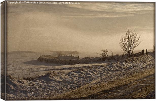 Winters Way - Scotland Canvas Print by LIZ Alderdice
