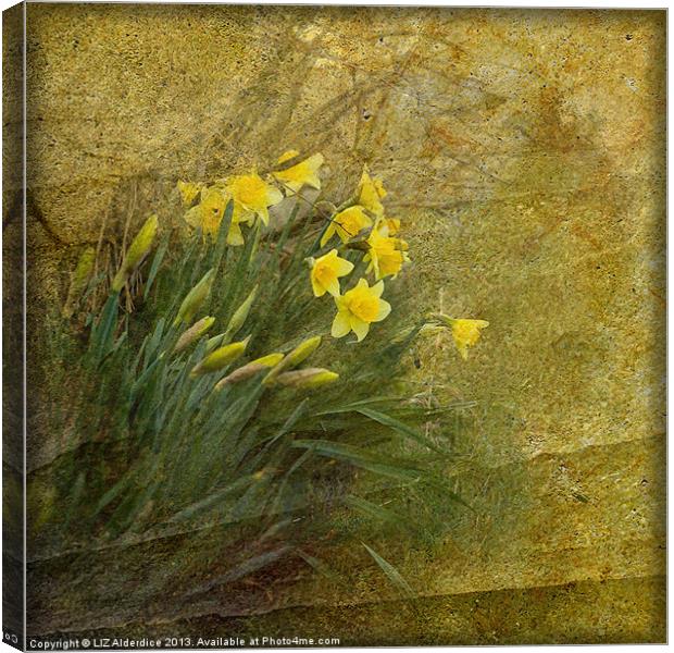 Spring Time Canvas Print by LIZ Alderdice