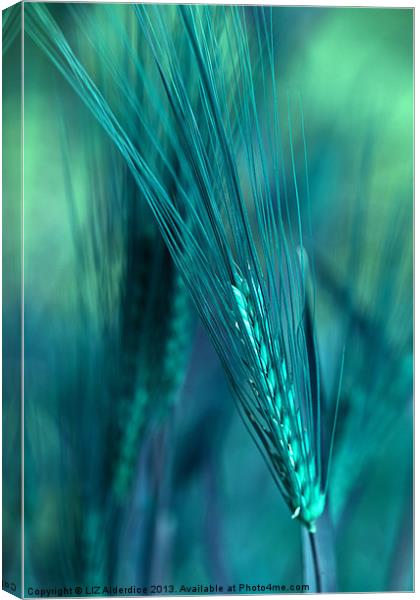 Barley in Blues Canvas Print by LIZ Alderdice