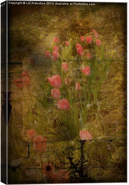 Tulips Canvas Print by LIZ Alderdice