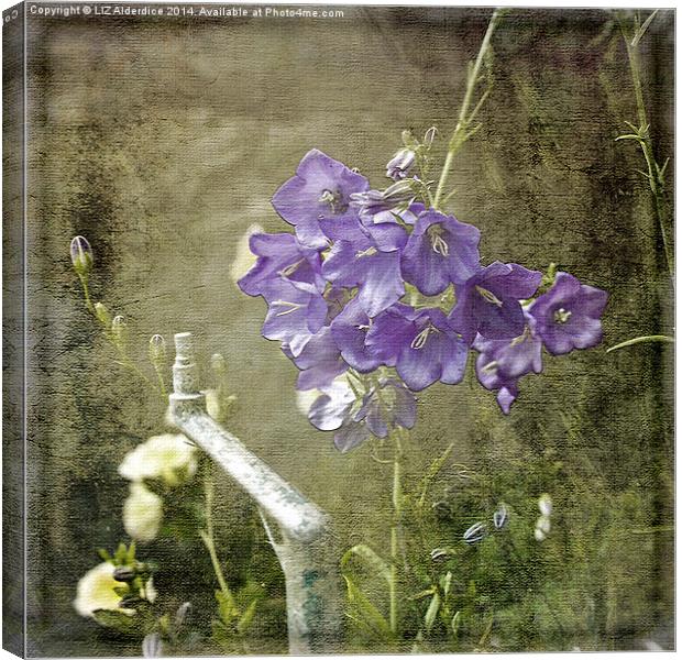 Canterbury Bells Canvas Print by LIZ Alderdice