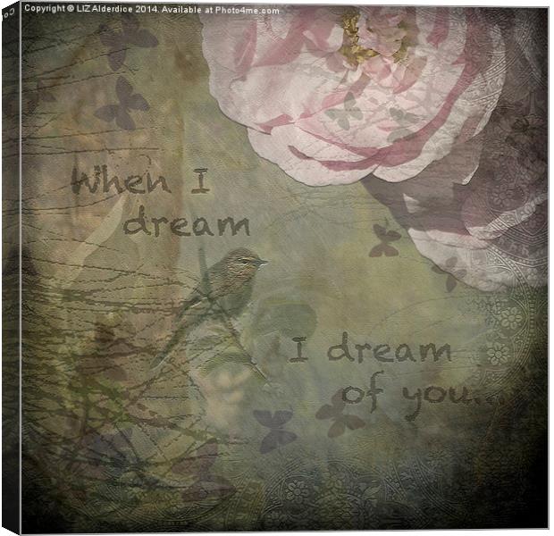  When I Dream Canvas Print by LIZ Alderdice