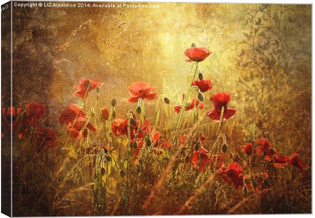  Golden Dawn Canvas Print by LIZ Alderdice