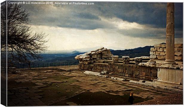 Pergamon - The View  Canvas Print by LIZ Alderdice