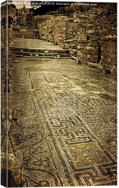  Mosaic Floor in Ephesus Canvas Print by LIZ Alderdice