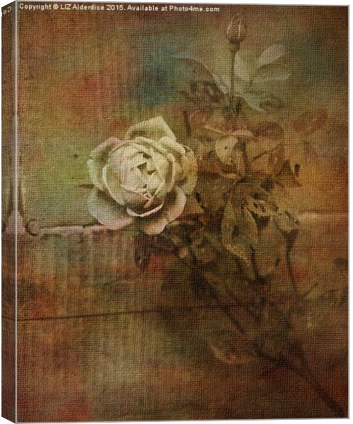  Vintage Rose Canvas Print by LIZ Alderdice