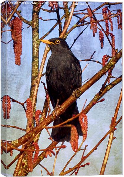 Goodbye Blackbird Goodbye  Canvas Print by LIZ Alderdice