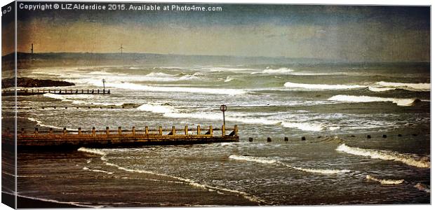 Waves at Aberdeen Beach Canvas Print by LIZ Alderdice