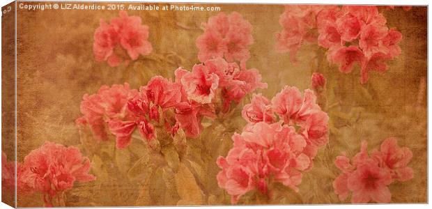 Vintage Floral Beauty Canvas Print by LIZ Alderdice