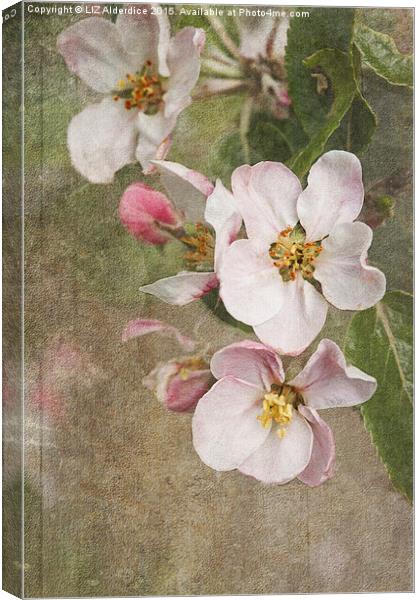 A Blossoming Symphony Canvas Print by LIZ Alderdice
