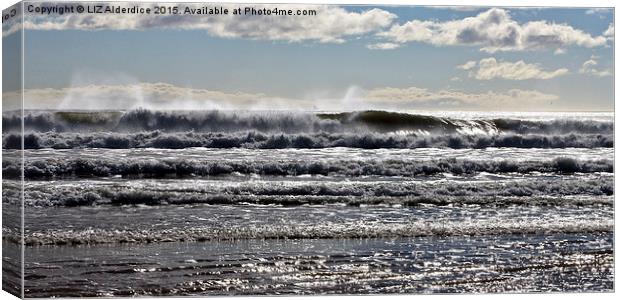 Majestic waves crashing on the Aberdeen coast Canvas Print by LIZ Alderdice