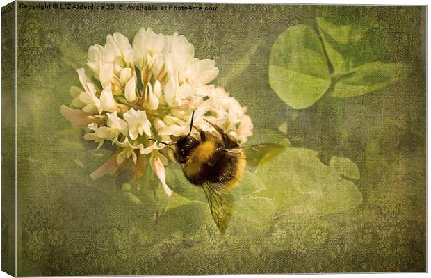  White Clover Bee Canvas Print by LIZ Alderdice