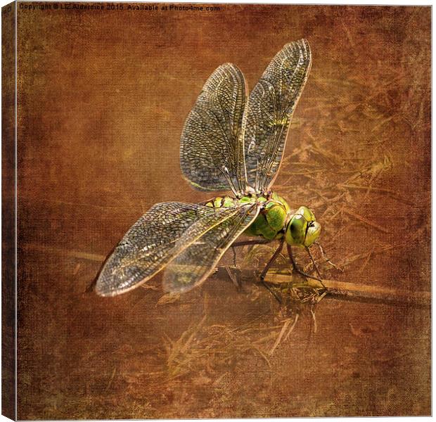 Green Dragonfly Canvas Print by LIZ Alderdice