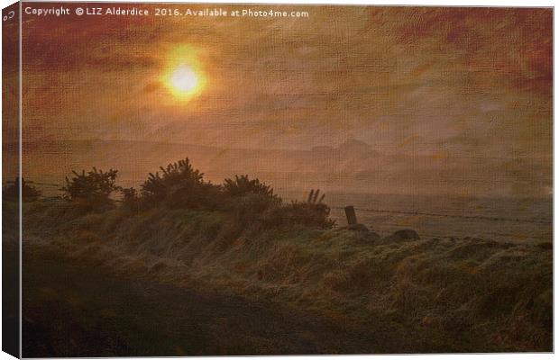 Sunrise  Canvas Print by LIZ Alderdice